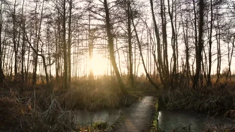 The sunset view from the front is very beautiful Stock Footage 234682869