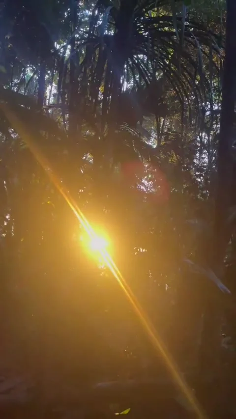 Sunset view from gamkonora mountain hiking trails Stock Footage 268529238