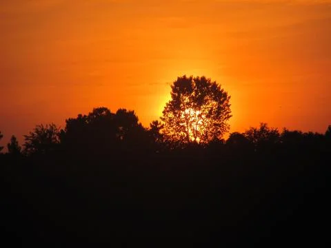 Sunset view with a glowing tree silhouette symbolizing life and renewal. Stock Photos
