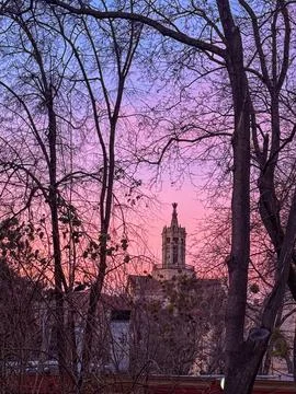 Sunset view of historic tower behind bare trees Stock Photos