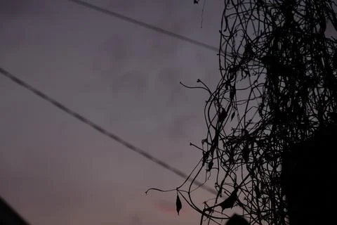 Sunset view from home. Stock Photos