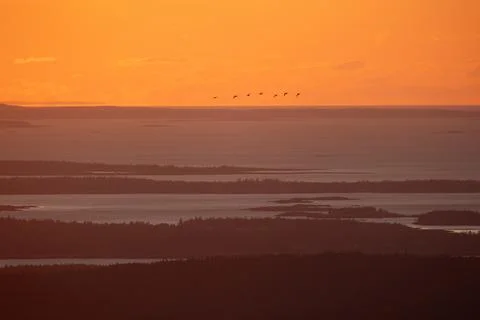 Sunset view Illustrazione stock