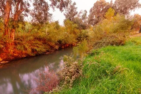 Sunset view of the Jordan River with eucalyptus trees Stock Photos