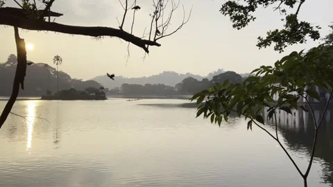 Sunset View of Kandy Lake With Birds and Reflection, Sri Lanka Stock Footage 331661131