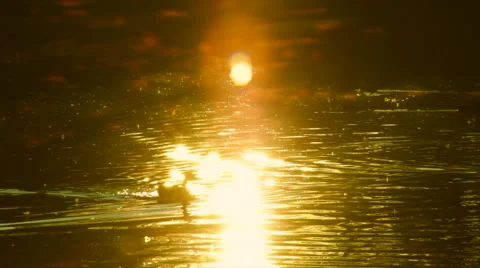 Sunset view on a lake with sun reflection line on the ripple 库存影片 41755279