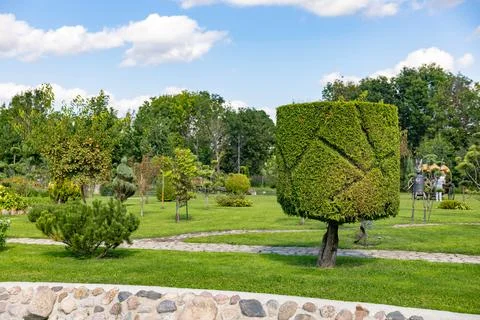 Sunset view of a large, well maintained large garden seen in early summer, sh Foto stock