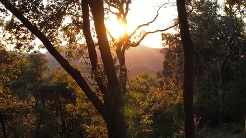 Sunset view of les Dentelles de Montmirail Stock Footage 228196189