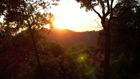 Sunset view of les Dentelles de Montmirail Stock Footage 228196267