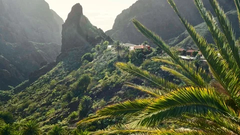 Sunset view of Masca valley and Masca village on Tenerife island, Canary, Spain Video stock 123968939