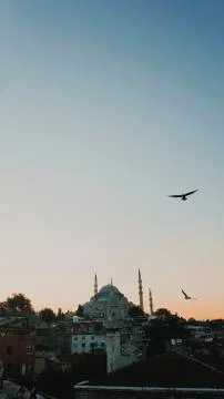 Sunset view of a mosque with bird flying Photos