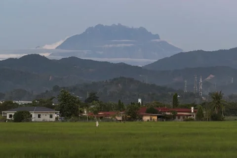 Sunset view of Mount Kinabalu from paddy field Stock Footage 162122526