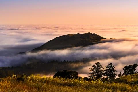 Sunset view of mountain top rising up above a sea of clouds in the Santa Cr.. Stock Photos
