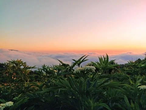 Sunset view of nature Stock Photos