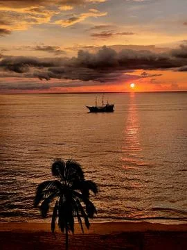 Sunset view over calm ocean with a ship sailing on the horizon and palm tre.. Stock Photos