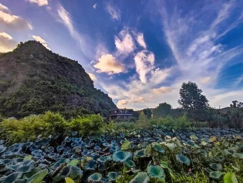 Sunset view over a lotus pond with mountains and clouds in the background Stock Photos