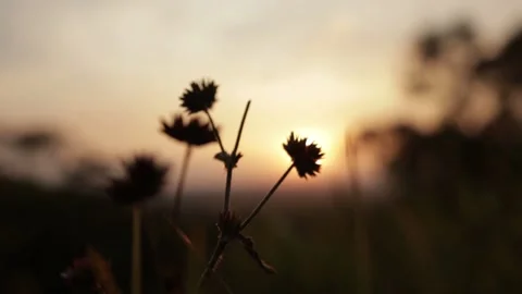 Sunset view over the mountain Stock Footage 157258775