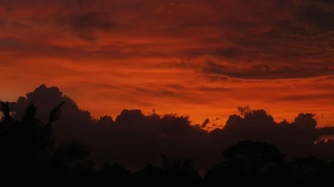 Sunset view over the rainforest trees in Bali Stock-Footage 128490423