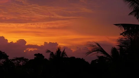 Sunset view over the rainforest trees in Bali 库存影片 130045448