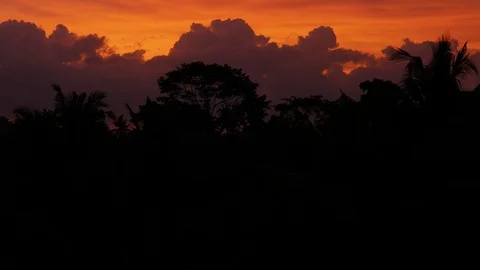 Sunset view over the rainforest trees in Bali Stock-Footage 130049198