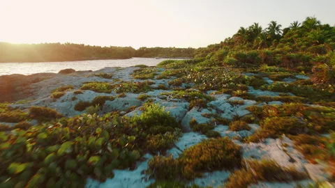Sunset view over rocky coastal terrain with green tropical vegetation by the sea Stock Footage 320196535
