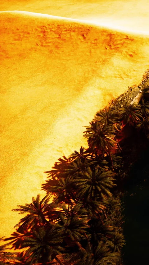 Sunset view over sandy beach with palm trees and vibrant colors Stock Footage 345010105