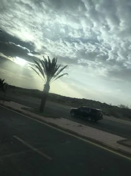 The sunset view with the palm tree Stock Photos