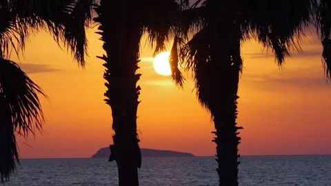 A sunset view with palm trees and Kalymnos island in the background in slow.. 스톡 동영상 290094584