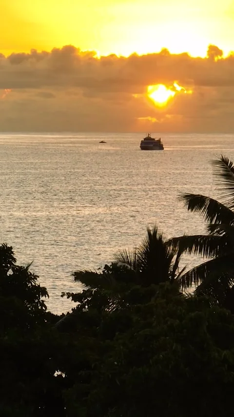 Sunset view with palm trees and an island silhouette. Seychelles, Mahe. Stock Footage 311006112