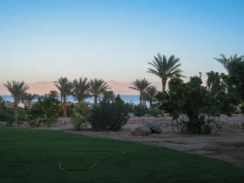 Sunset view of palm trees and coast Stock Photos