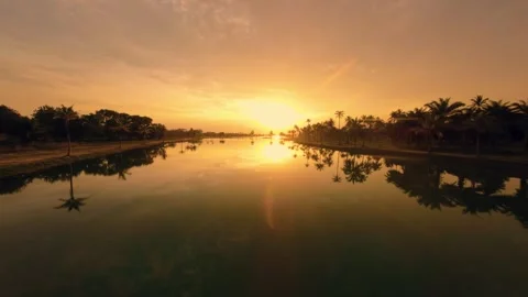 Sunset view of a park with palm trees  Stock Footage 260558724