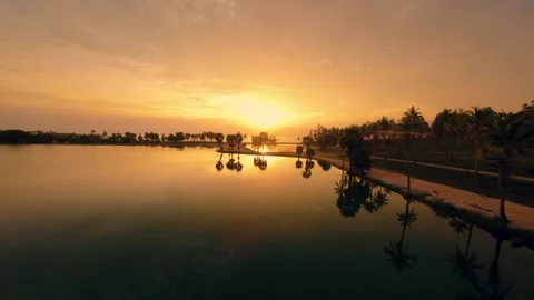 Sunset view of a park with palm trees Stock Footage 260558902