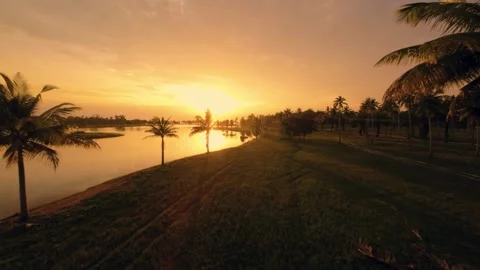 Sunset view of a park with palm trees Stock Footage 260578824