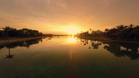 Sunset view of a park with palm trees and a lake Stock Footage 261302801