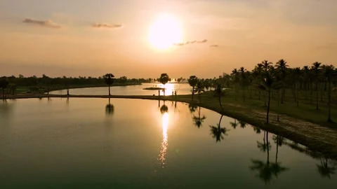 Sunset view of a park with palm trees and a lake Stock Footage 262355997