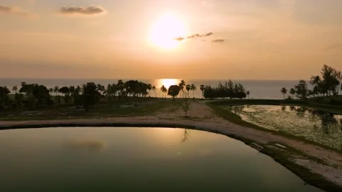 Sunset view of a park with palm trees and a lake Stock Footage 262356012