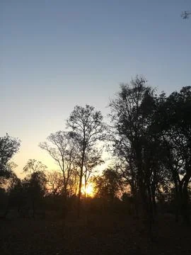 The sunset view with passing the sunrays Stock Photos