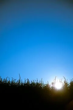 Sunset view Stock-Fotos