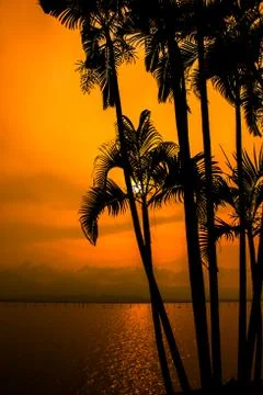 Sunset view Stock Photos