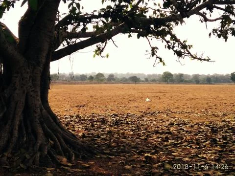 Sunset View Fotos Stock