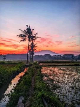 Sunset view Foto stock