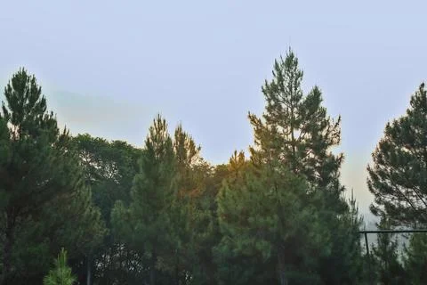Sunset view Stock Photos
