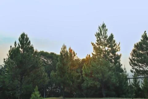 Sunset view Stock Photos