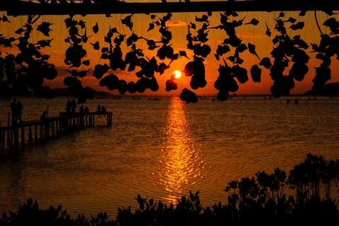 Sunset view Stock Photos