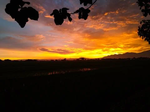 Sunset View Stock Photos