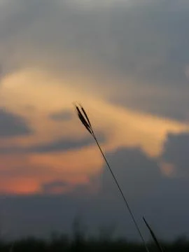 Sunset view Stock Photos