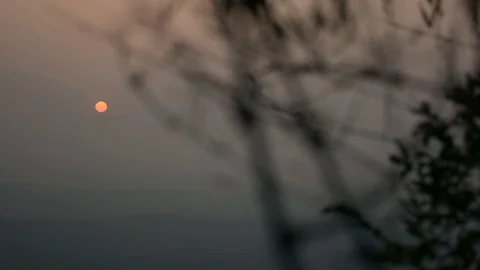 Sunset view from plants beautiful establishing shot india nature kerala mount Video stock 106801044