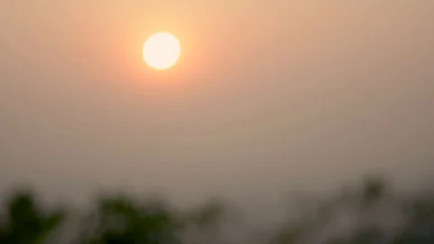 Sunset view from plants beautiful establishing shot india nature kerala mount Video stock 106801096