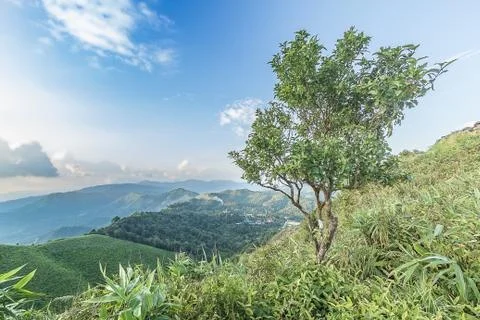 Sunset view point at Nern Chang Suek Viewpoint, Pilok, Kanchanaburi, Thailand Stock Photos