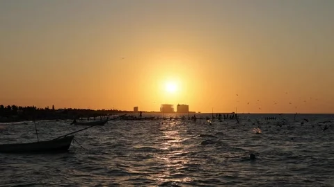 Sunset view of progreso beach with pelicans diving into water Video stock 304907264