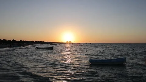 Sunset view of progreso beach with pelicans diving into water Stock Footage 304907736